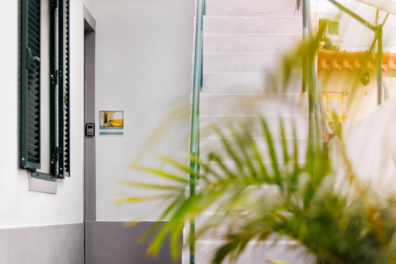 Quintinha Tropical - Panoramic Gateway To Madeira Hotel Funchal  Ngoại thất bức ảnh